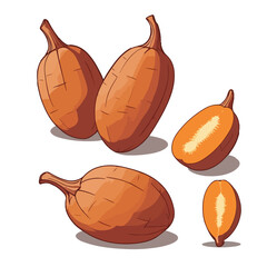 Flat Orange Yam Vector
