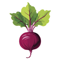 Beetroot Icon