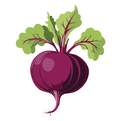 Flat Purple Beet Vector