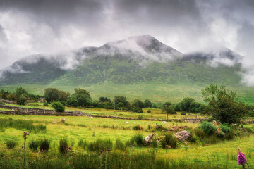 The stunning view presents a mist covered Carrauntoohil mountain that majestically rises above vibrant green fields, all framed by dramatic clouds drifting in the sky, Kerry, Ireland