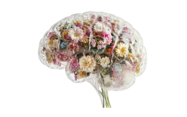 Surreal transparent human brain filled with vibrant glowing neurons and intricate neural network connections isolated on transparent background PNG