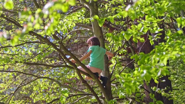 Curious Fearless Caucasian Kid Girl Climbing Up Forest Tree On Summer Vaction Day