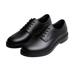 Classic black leather shoes for formal occasions and professional events