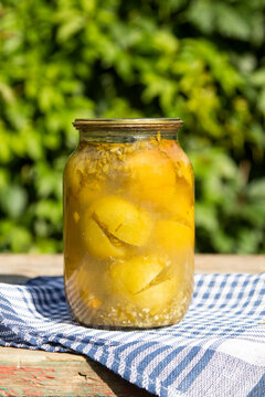 Marinated homemade green tomatoes with herbs in glass jar on wooden table against background of greenery on sunny summer day. Farm product.