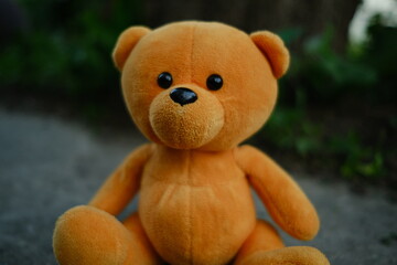 A soft orange teddy bear is positioned on the ground with a backdrop of lush greenery The warm late afternoon light casts gentle shadows creating a peaceful atmosphere around the toy
