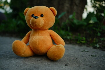 A soft orange teddy bear is positioned on the ground with a backdrop of lush greenery The warm late afternoon light casts gentle shadows creating a peaceful atmosphere around the toy