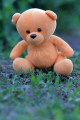 A plush teddy bear with vibrant orange fur is placed on the ground amidst lush green grass and plants enjoying the sunny atmosphere of a peaceful garden