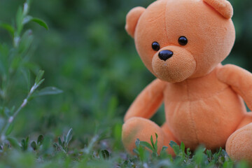 A plush teddy bear with vibrant orange fur is placed on the ground amidst lush green grass and...