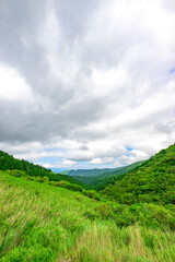 Fototapeta premium 箱根金時山の新緑が広がる爽やかな山岳風景 神奈川県箱根町