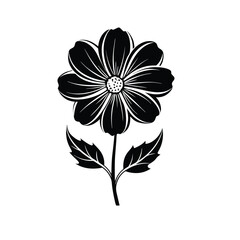 Obraz premium black and white flower