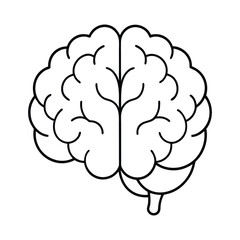 Brain icon, Brain Logo vector illustration. Brain icon, Brain Logo silhouette set . Human brain in three planes.