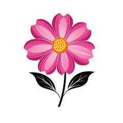 pink flower isolated on white background