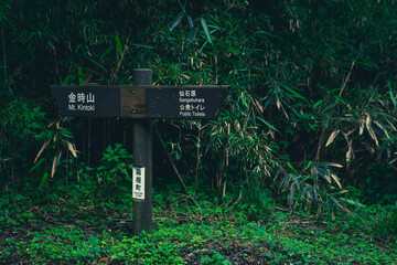  金時山登山口の案内板が示す静かな登山道　　神奈川県箱根町公時神社