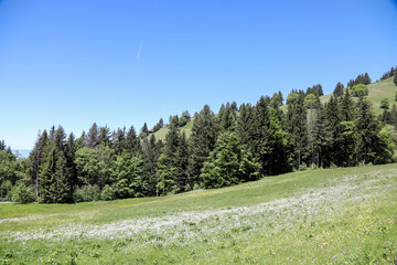 Hiking in Orgevaux, Switzerland