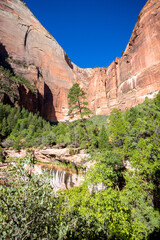 Sandstone cliffs along the Kayenta Trail in Zion National Park, Utah