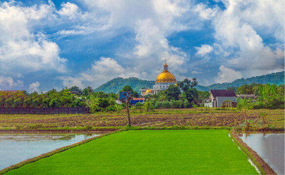 Gorgeous scenes on the countryside of the island of Lombok in Indonesia, with bucolic raice paddies and picturesque villages with monumental mosques