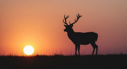 deer, animal, nature, wildlife, wild, antlers, mammal, male deer, reindeer, stag, horn, grass, vector, brown, male deer, silhouette, drawing, isolated, hunting, horns, animals, fur, stag, horn, forest