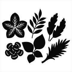 Fruit silhouette vector collection on white background 