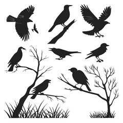 Fototapeta premium Bird Vector 