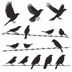 Fototapeta premium Bird Vector 