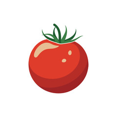 Fresh Red Tomato Whole and Sliced Vector Illustration