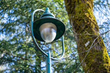 A vintage street lamp stands tall amidst a lush forest. sunlight filters through the trees, highlighting the moss-covered trunk nearby, creating a serene, natural atmosphere.