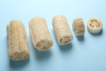 Natural loofah sponges on light blue background, above view