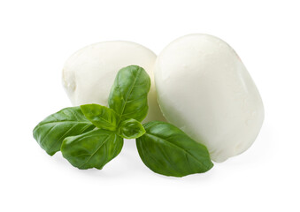 Tasty mozzarella cheese and basil isolated on white
