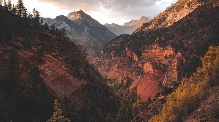 Fototapeta premium From above, a thriving forest of lush greenery is visible, complete with a twisting path that navigates the trees, and what could be the overgrown remains of a long-abandoned, ancient settlement