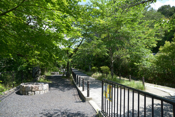 Fototapeta premium 新緑の哲学の道 熊野若王子神社から北へ向かう 京都市左京区