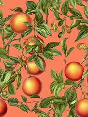 Vintage Botanical Engraving of Fruit Clusters on Branches with Blossoms and Variegated Leaves – Realistic Antique Style Illustration for Commercial & Editorial Use