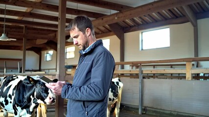 Farmer worker hold tablet.. Cows and calfs in modern farm standing next to each other. Electronic devices in farm - Powered by Adobe