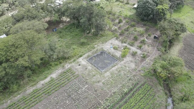 Vista a&eacute;rea con dron de parcela agr&iacute;cola en Jacaltenango, Guatemala, mostrando reservorio de agua y diversos cultivos frutales.