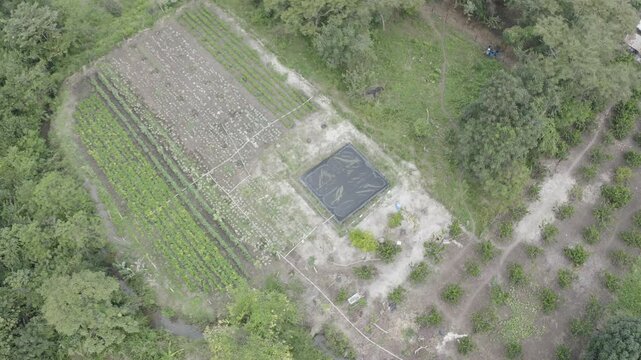 Imagen desde dron: paisaje agr&iacute;cola en Guatemala mostrando cultivos frutales, reservorio de agua y calles rurales.