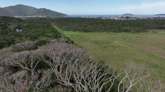 Florianopolis in Santa Catarina during a wonderful sunrise. Pantano do Sul in aerial view.
