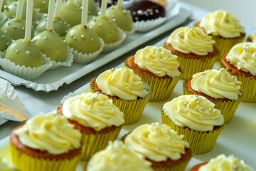 Festive dessert, catering