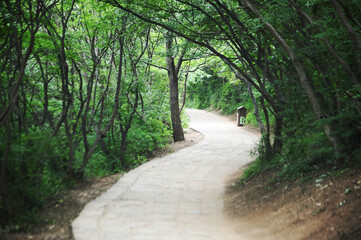 Stone walkway on smooth footpath at Yuntaishan Park is the most beautiful geological park in Henan Province, China. It is listed as the first geological heritage site in the world.