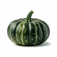 Green striped pumpkin autumn harvest vegetable