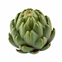 Fototapeta premium Fresh green artichoke isolated on white background