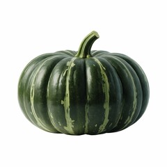 Green striped pumpkin autumn harvest vegetable