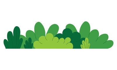 Bush on a white background. Green Shrub bush vector flat illustration.