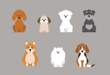 Fototapeta premium Collection of cartoon dogs and puppies in various breeds