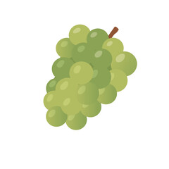 Vector Illustration of Fresh Green Grape Bunch with Stem and Shiny Round Juicy Berries Isolated on White Background