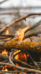 Close-up of campfire sticks burning during the day