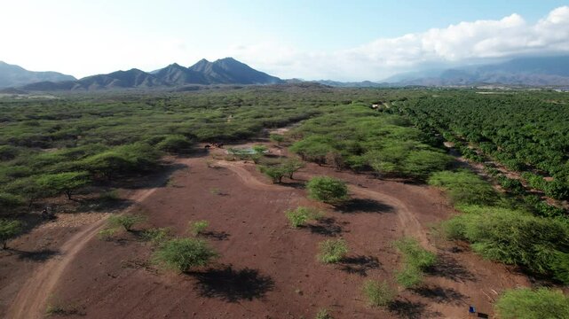 Selva tropica las tablas perabia republica dominicana