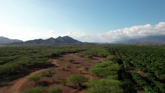 Selva tropica las tablas perabia republica dominicana