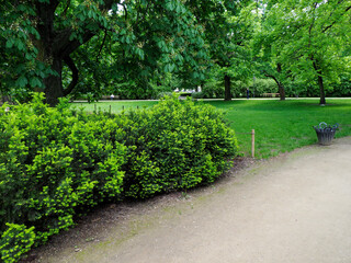 Peaceful park pathway winding through lush green landscape with manicured lawn and dense foliage...