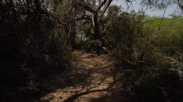  Drone shot an abandoned road, with vegetation around it, on a mountain with nearby beaches. forward and backward movements. recorded at 60 FPS