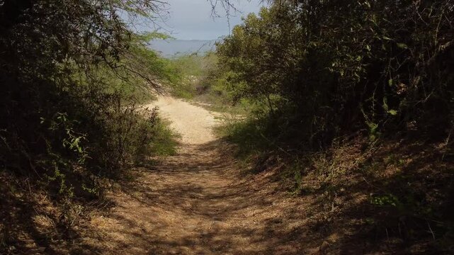Drone shot an abandoned road, with vegetation around it, on a mountain with nearby beaches. forward and backward movements. recorded at 60 FPS