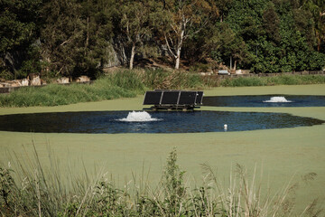 Brisbane Botanic Gardens Mount Coot-tha. Fifty-six-hectare, subtropical botanic gardens featuring...